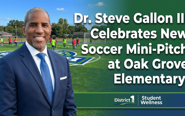 Dr Steve Gallon III Soccer Pitch